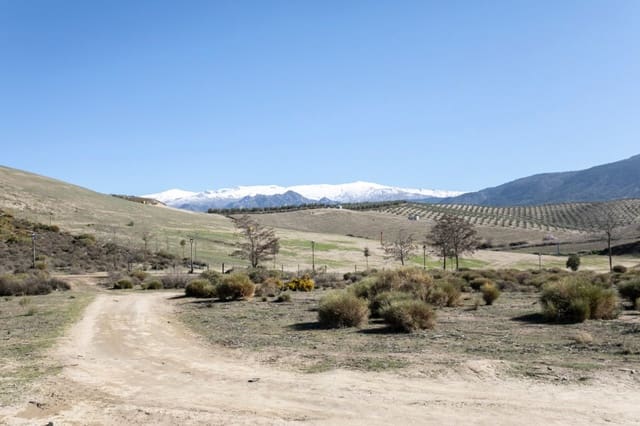 Building Plot for sale in Otura - € 59,900 (Ref: 6572678)