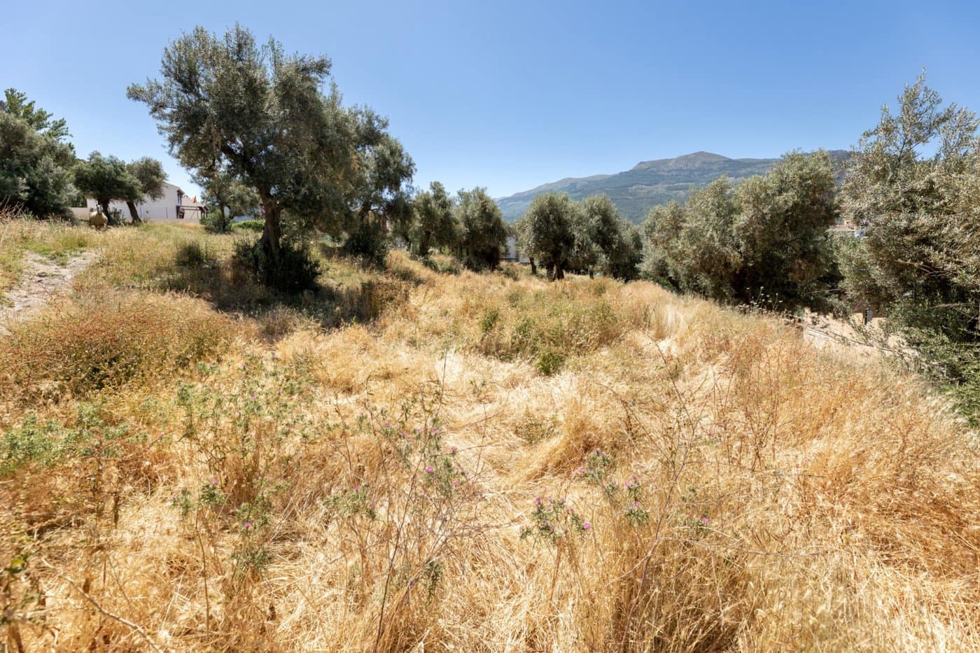 Byggegrund til salg i Guejar Sierra - € 295.000 (Ref: 7043447)