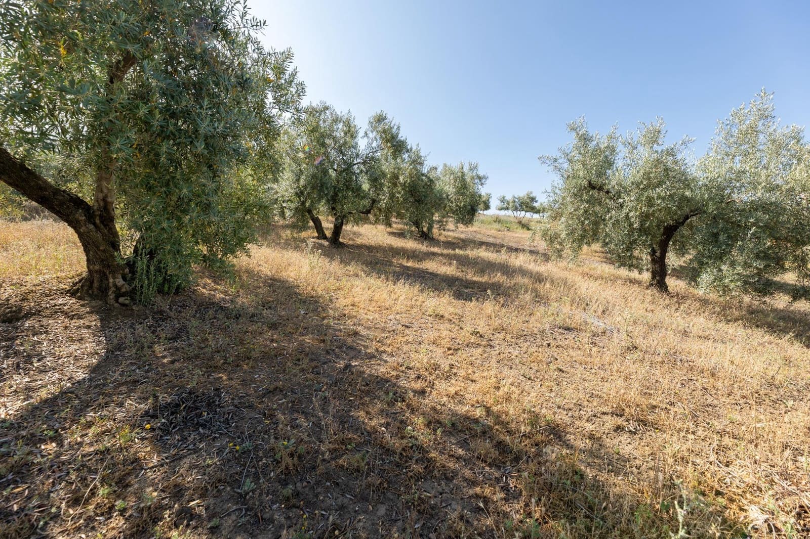 Działka budowlana na sprzedaż w Alfacar - 50 000 € (Ref: 7591883)