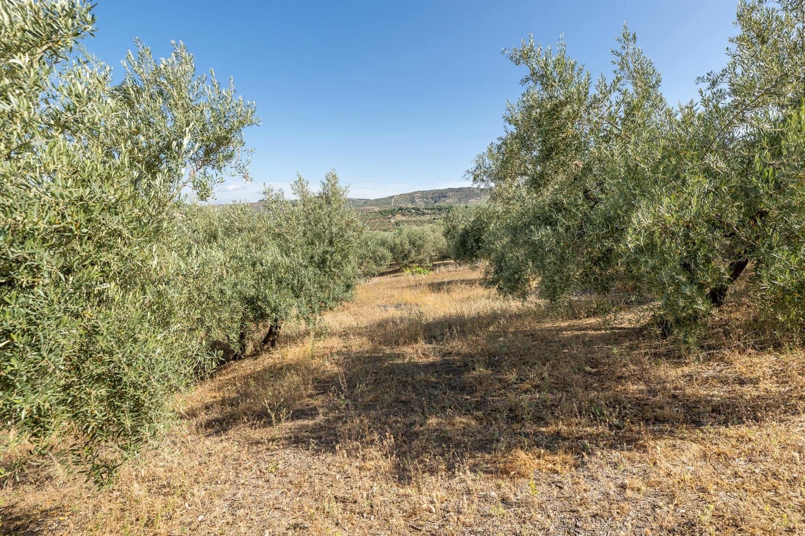 Działka budowlana na sprzedaż w Alfacar - 50 000 € (Ref: 7591883)