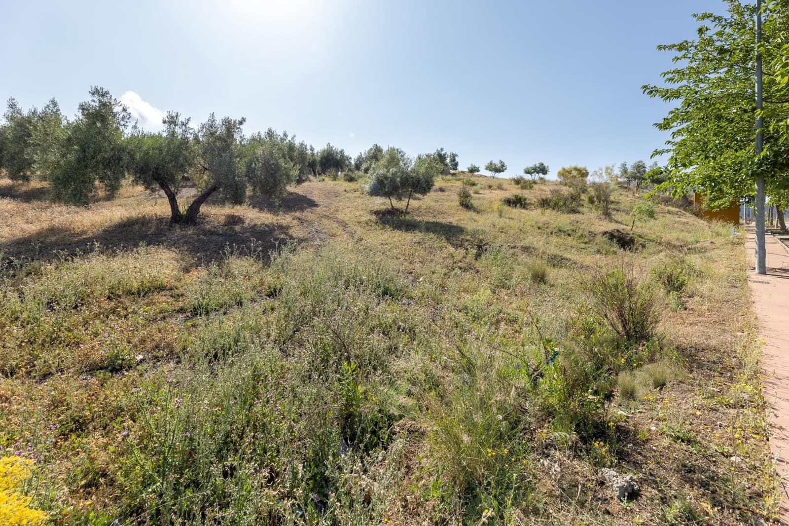 Działka budowlana na sprzedaż w Alfacar - 50 000 € (Ref: 7591883)