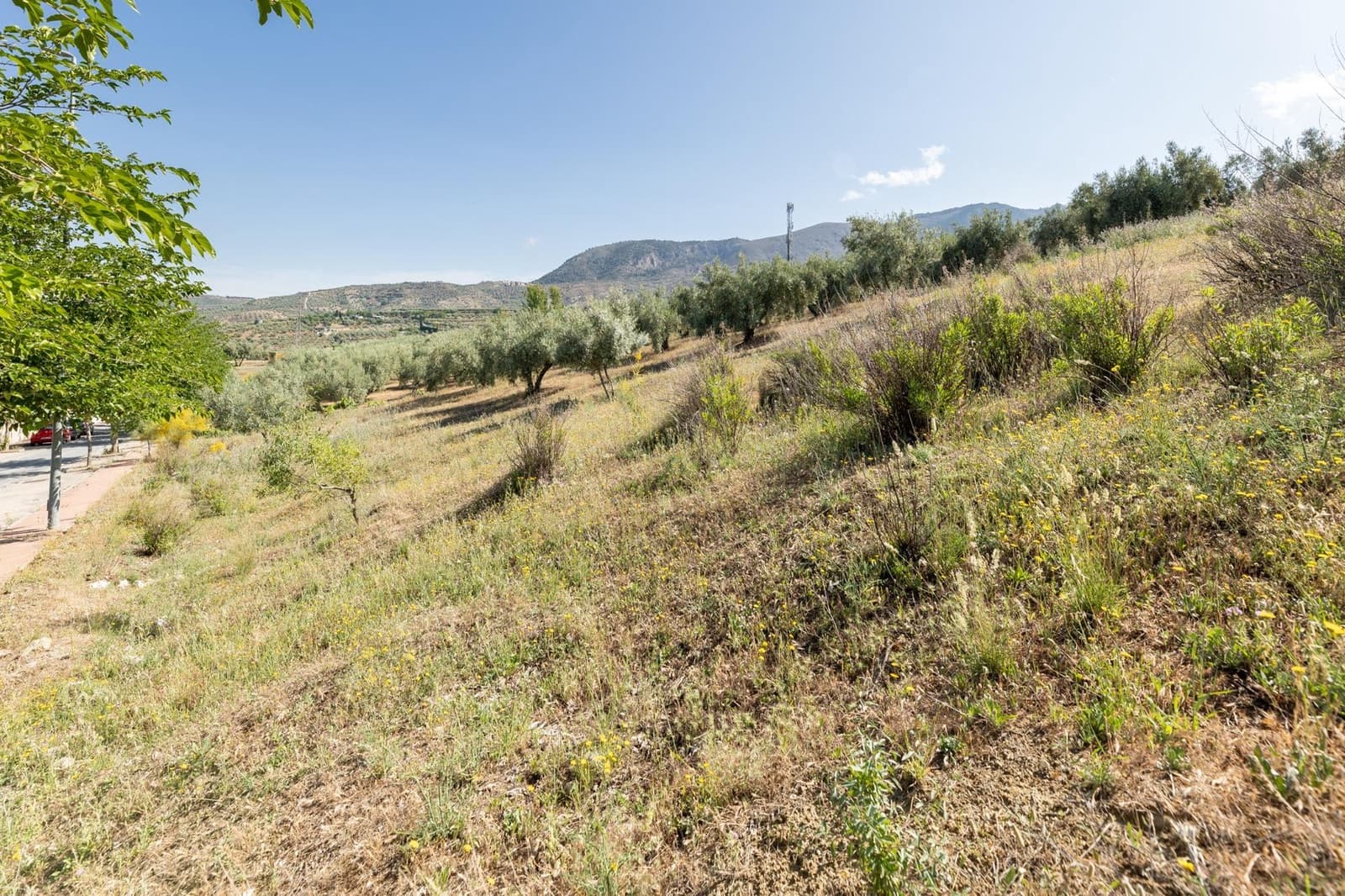 Działka budowlana na sprzedaż w Alfacar - 50 000 € (Ref: 7591883)