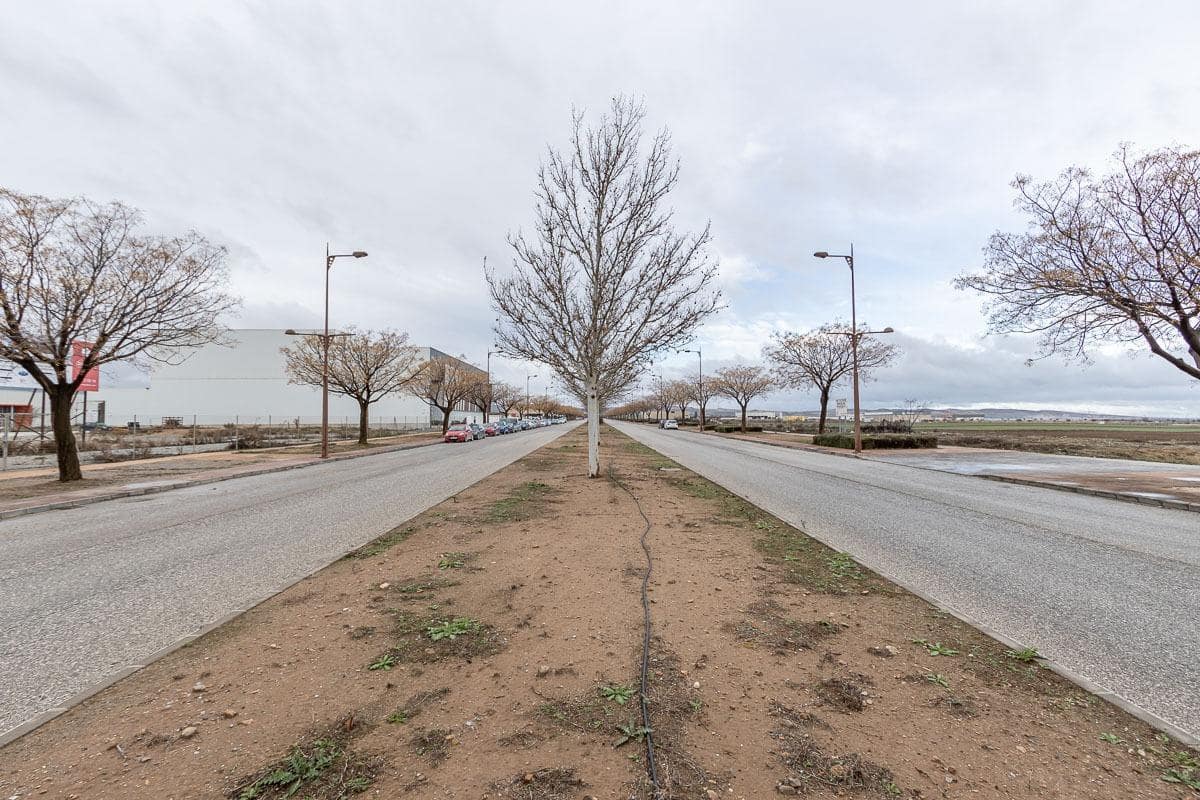 Grunde uden byggetilladelser til salg i Escuzar - € 392.000 (Ref: 8322945)