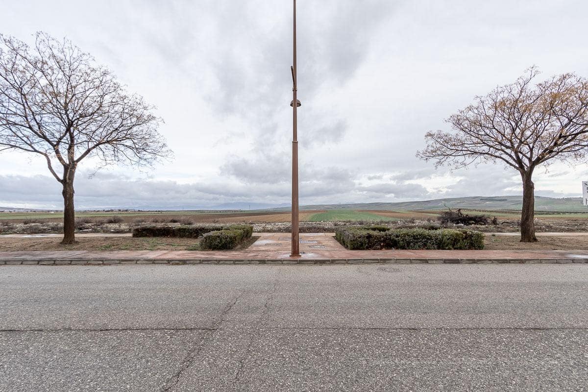 Grunde uden byggetilladelser til salg i Escuzar - € 392.000 (Ref: 8322945)