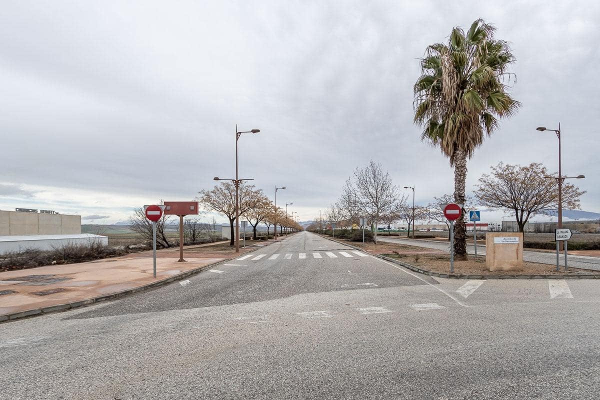 Grunde uden byggetilladelser til salg i Escuzar - € 392.000 (Ref: 8322945)