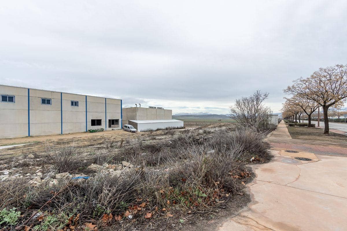 Grunde uden byggetilladelser til salg i Escuzar - € 392.000 (Ref: 8322945)