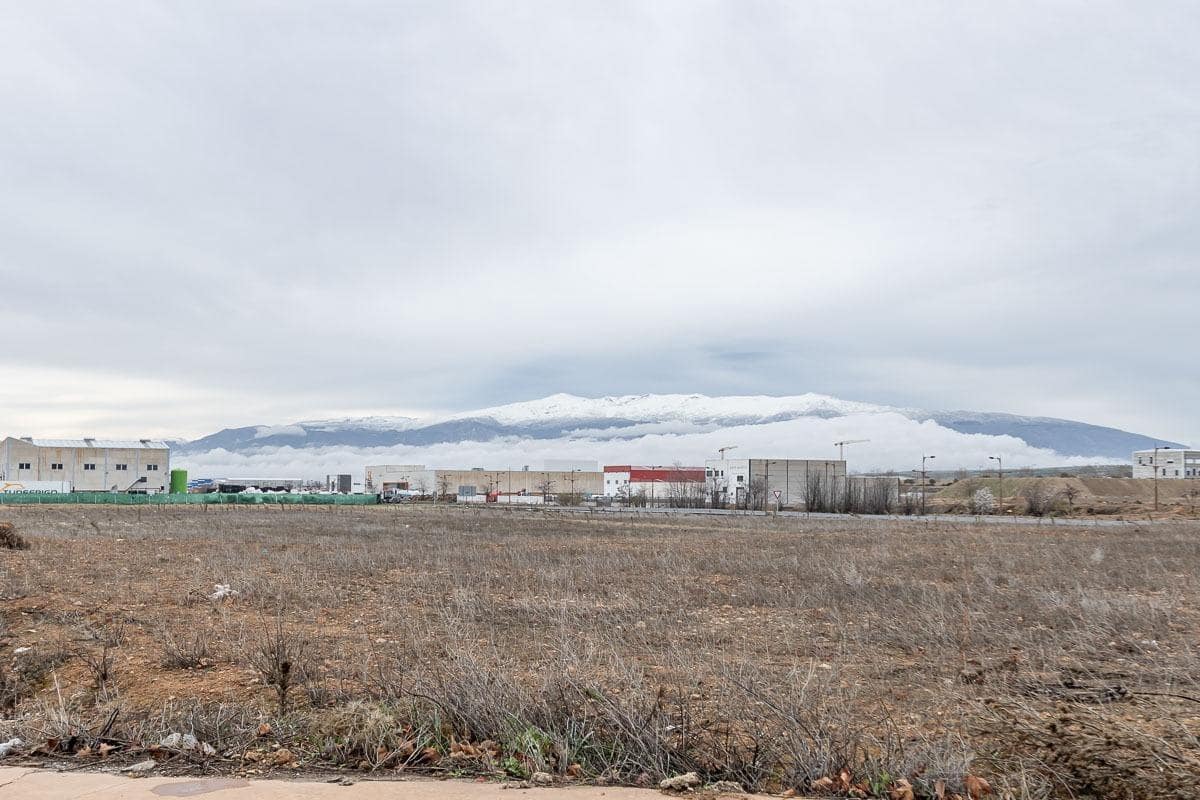 Ubebygd land til salgs i Escuzar - € 224 000 (Ref: 8322946)