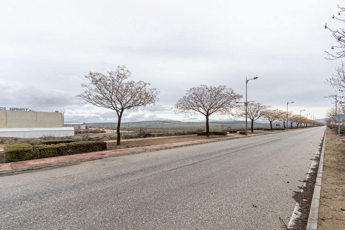 Ubebygd land til salgs i Escuzar - € 224 000 (Ref: 8322946)