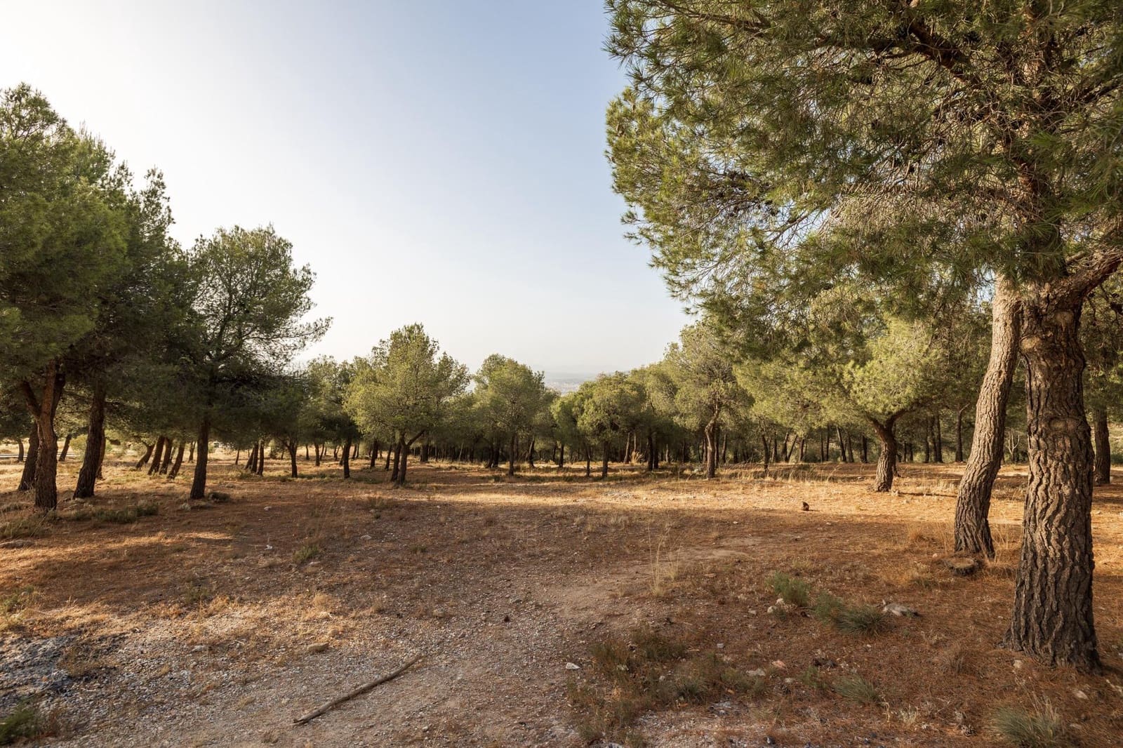 Byggetomt til salgs i La Zubia - € 129 000 (Ref: 8468091)