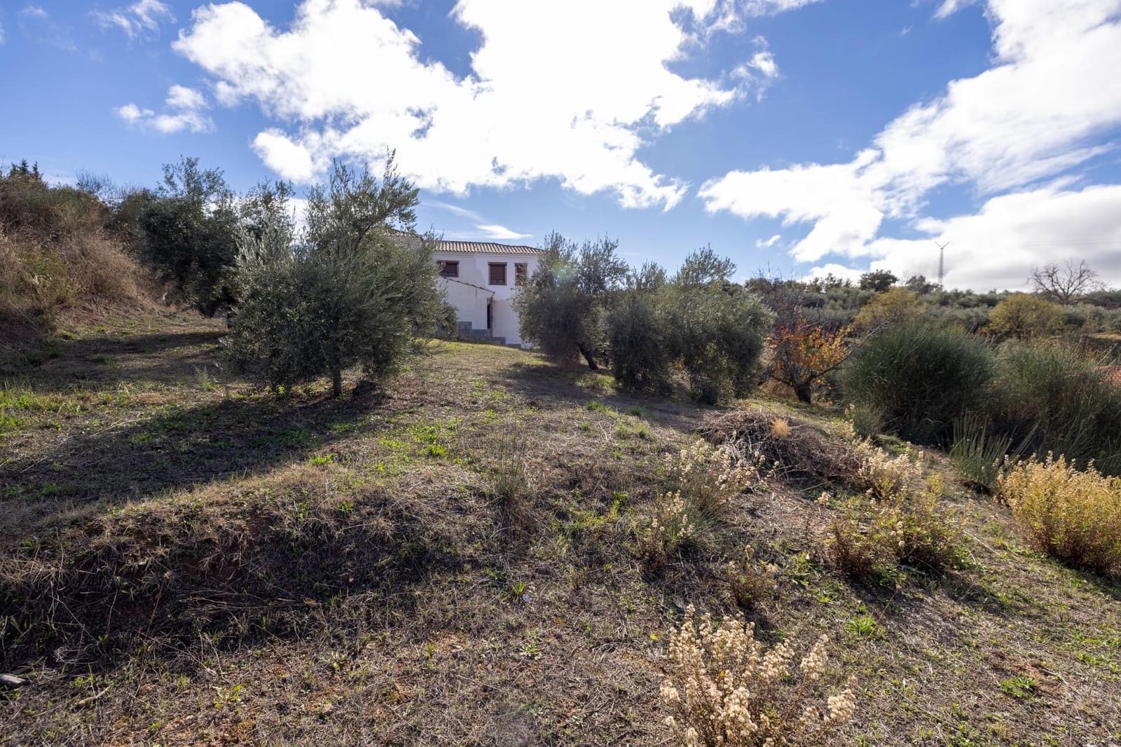 Byggegrund til salg i Nivar - € 50.000 (Ref: 8666385)