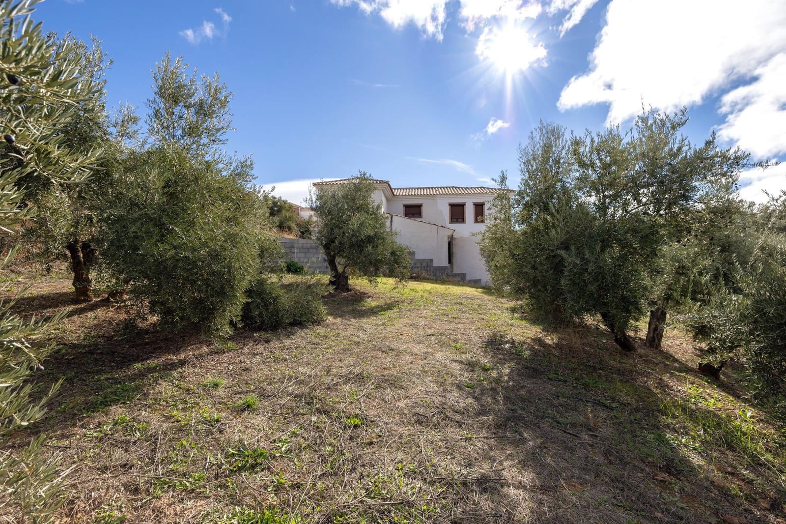 Byggegrund til salg i Nivar - € 50.000 (Ref: 8666385)