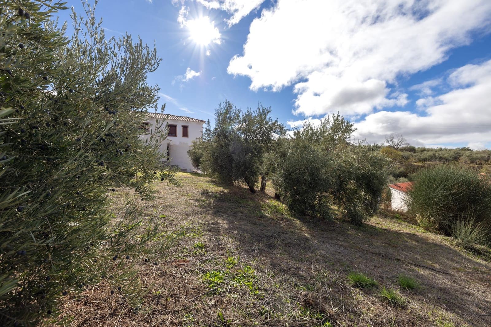 Byggegrund til salg i Nivar - € 50.000 (Ref: 8666385)