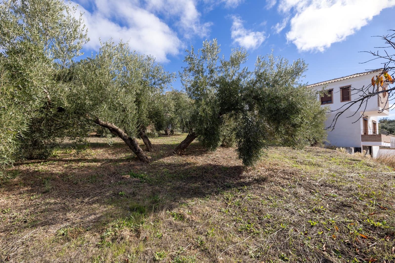 Byggegrund til salg i Nivar - € 50.000 (Ref: 8666385)