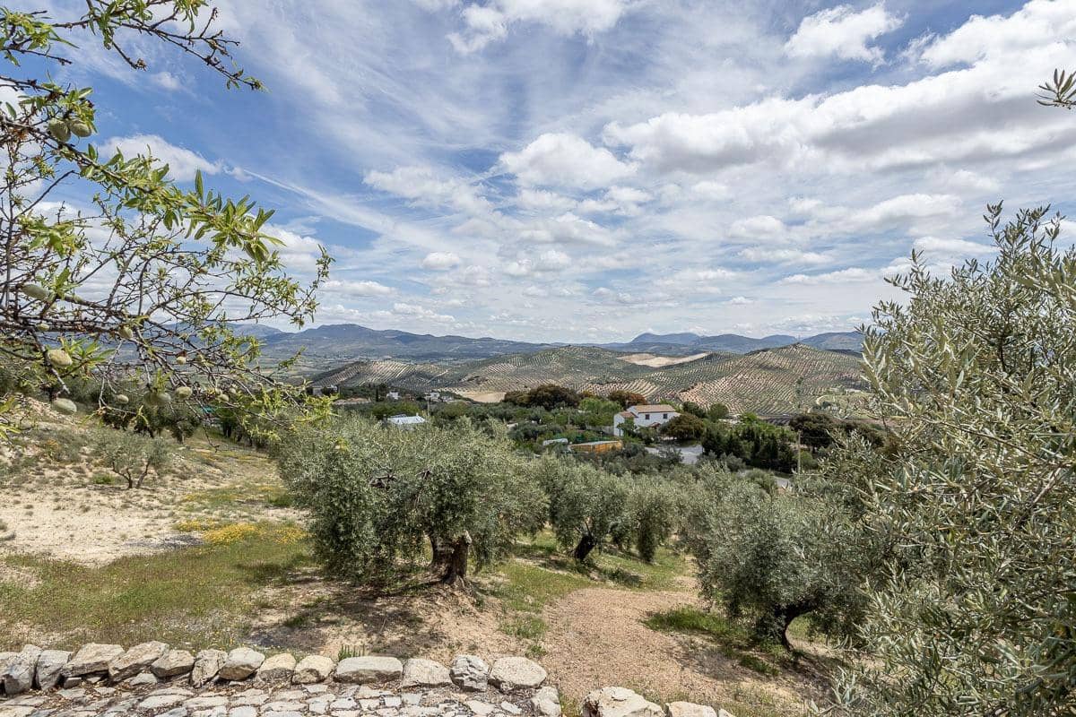 2 soveværelse Finca/Landehus til salg i Ermita Nueva - € 320.000 (Ref: 8994091)