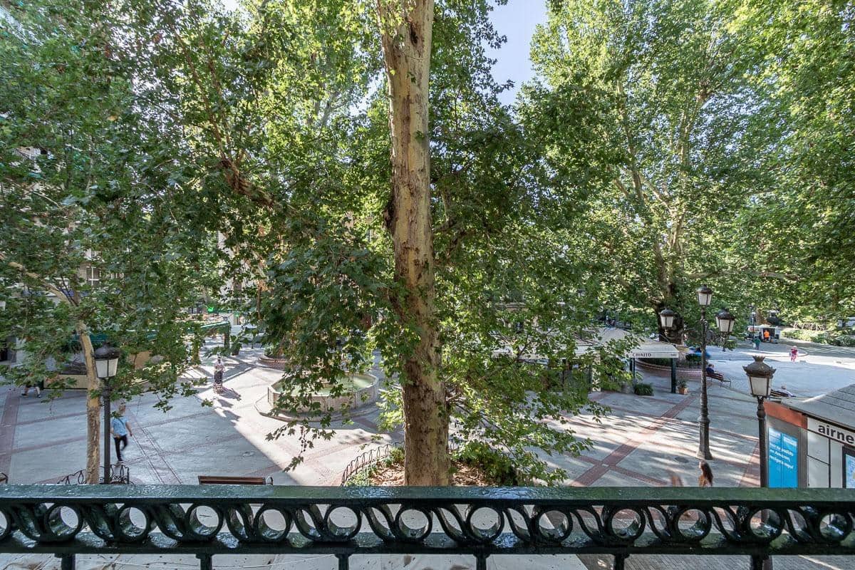 Oficina en Granada ciudad en alquiler - 750 € (Ref: 9081459)