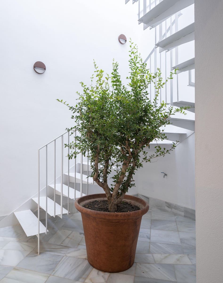 2 soverom Leilighet til salgs i Granada by - € 265 000 (Ref: 9116017)