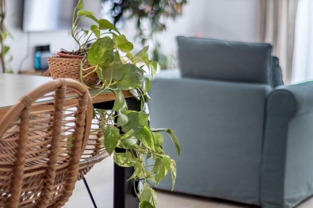 4 soverom Rekkehus til salgs i Jun med svømmebasseng garasje - € 280 000 (Ref: 9382805)