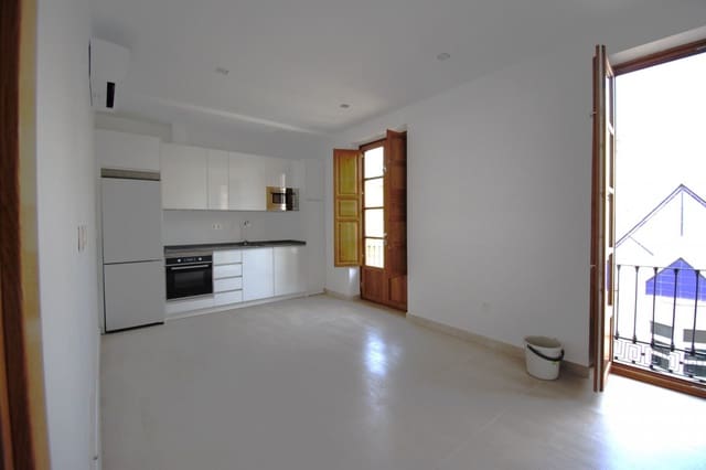 Piso de 1 habitación en Centro, Granada ciudad en alquiler - 600 € (Ref: 9438605)