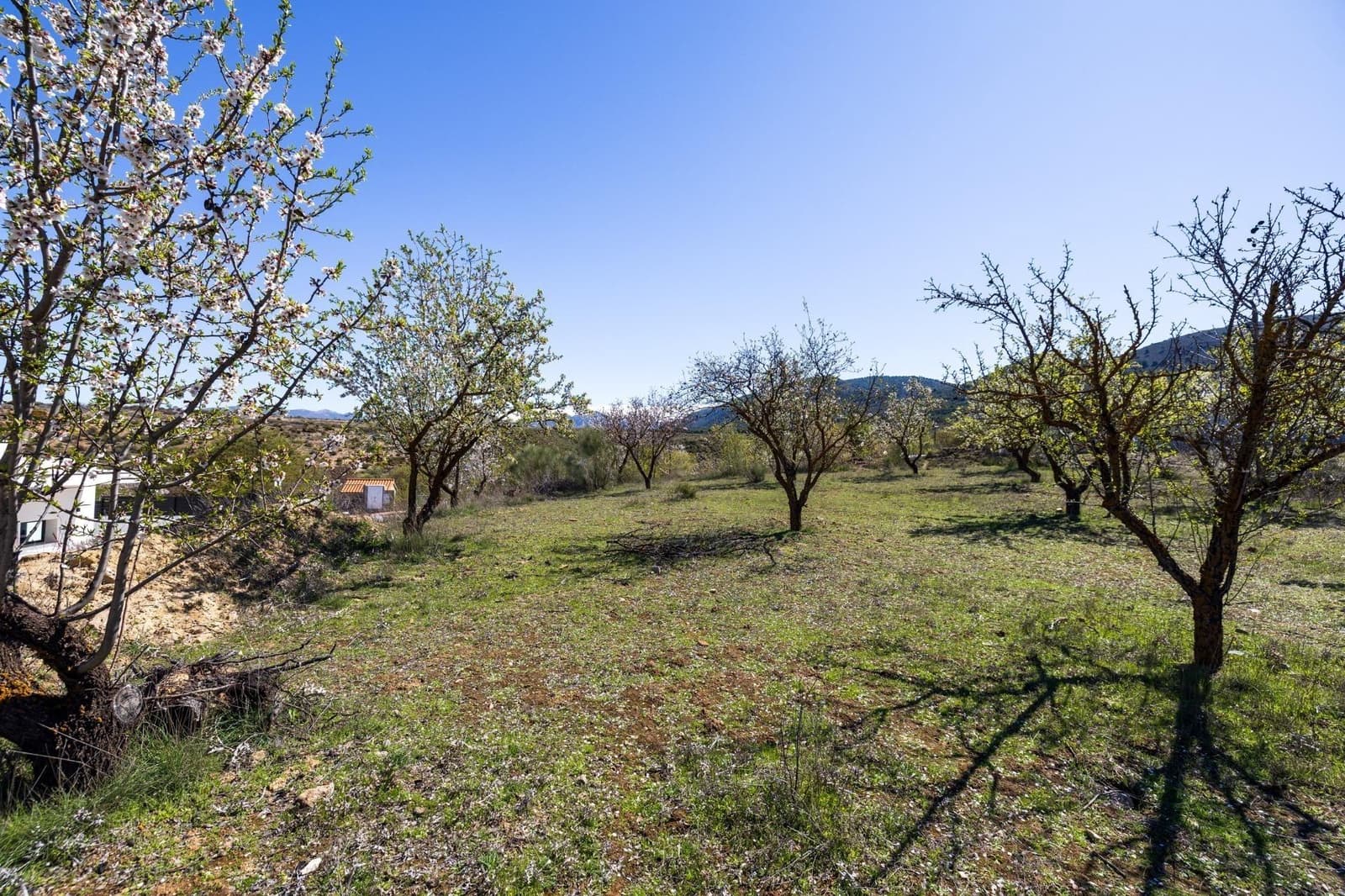 Building Plot for sale in Dilar - € 62,000 (Ref: 9711929)