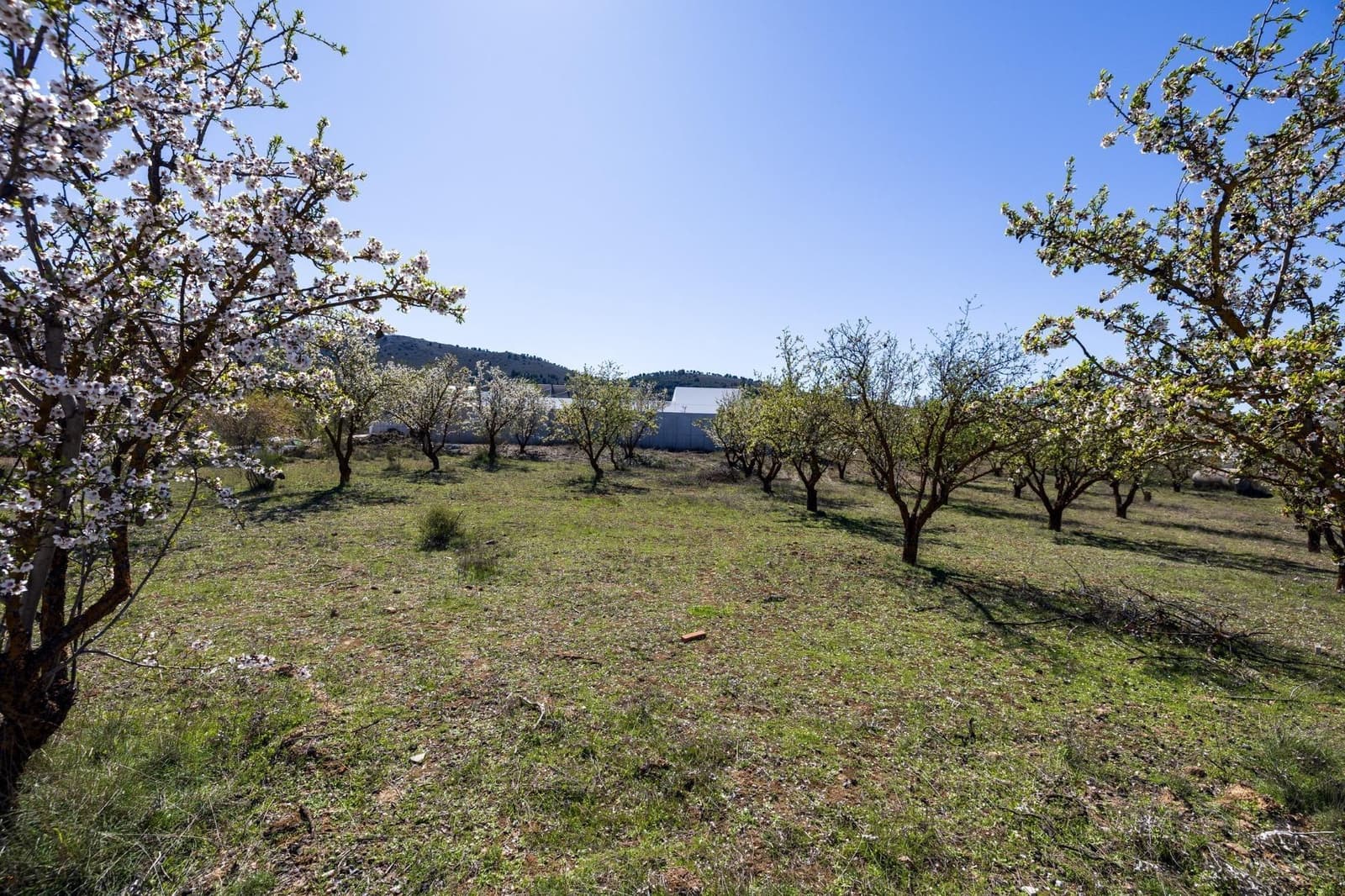 Building Plot for sale in Dilar - € 62,000 (Ref: 9711929)