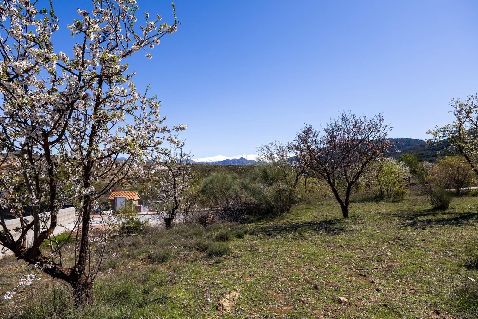 Building Plot for sale in Dilar - € 62,000 (Ref: 9711929)