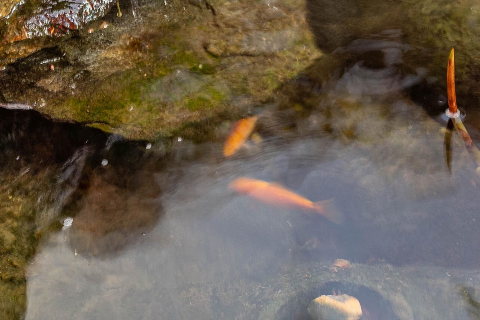 5 quarto Moradia para venda em Armilla com garagem - 329 900 € (Ref: 9714896)