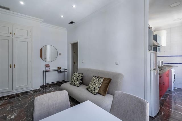 1 Zimmer Wohnung zu verkaufen in Centro, Granada Stadt - 250.000 € (Ref: 9800625)