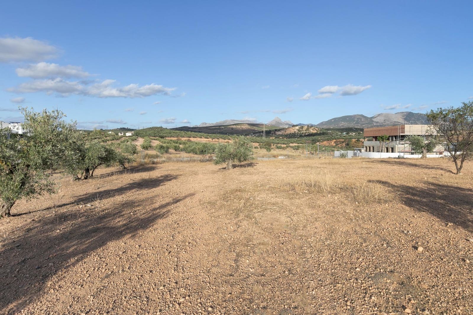 Building Plot for sale in Albolote - € 1,750,000 (Ref: 9815829)