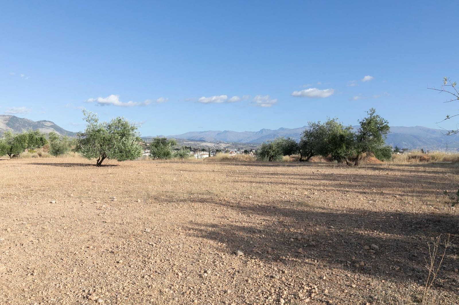 Building Plot for sale in Albolote - € 1,750,000 (Ref: 9815829)