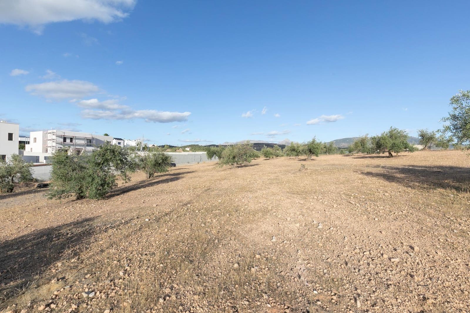 Building Plot for sale in Albolote - € 1,750,000 (Ref: 9815829)