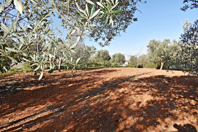 Bouwgrond te koop in Jerez de la Frontera - € 159.900 (Ref: 6440539)