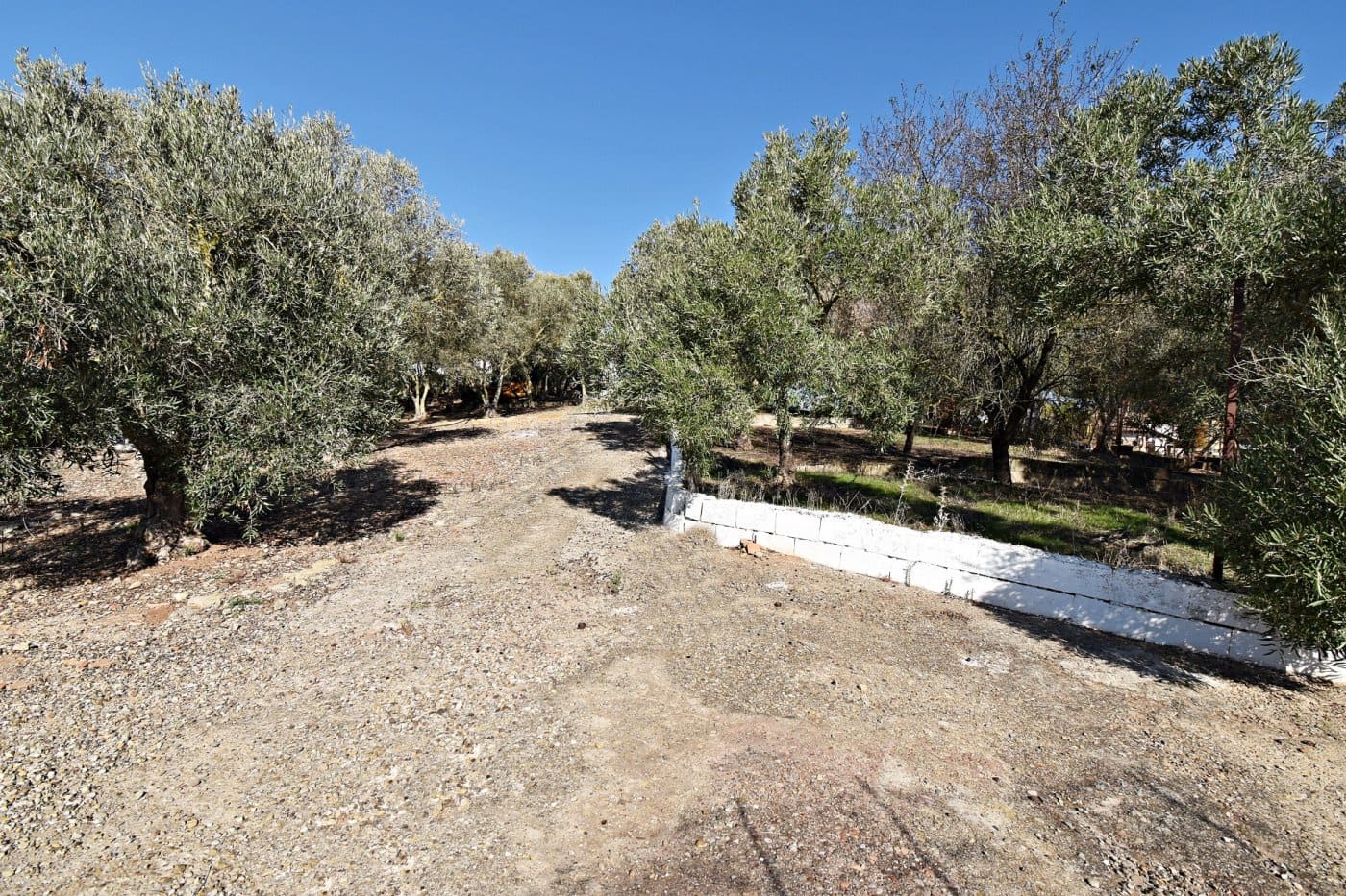 Byggegrund til salg i Jerez de la Frontera - € 159.900 (Ref: 6440539)