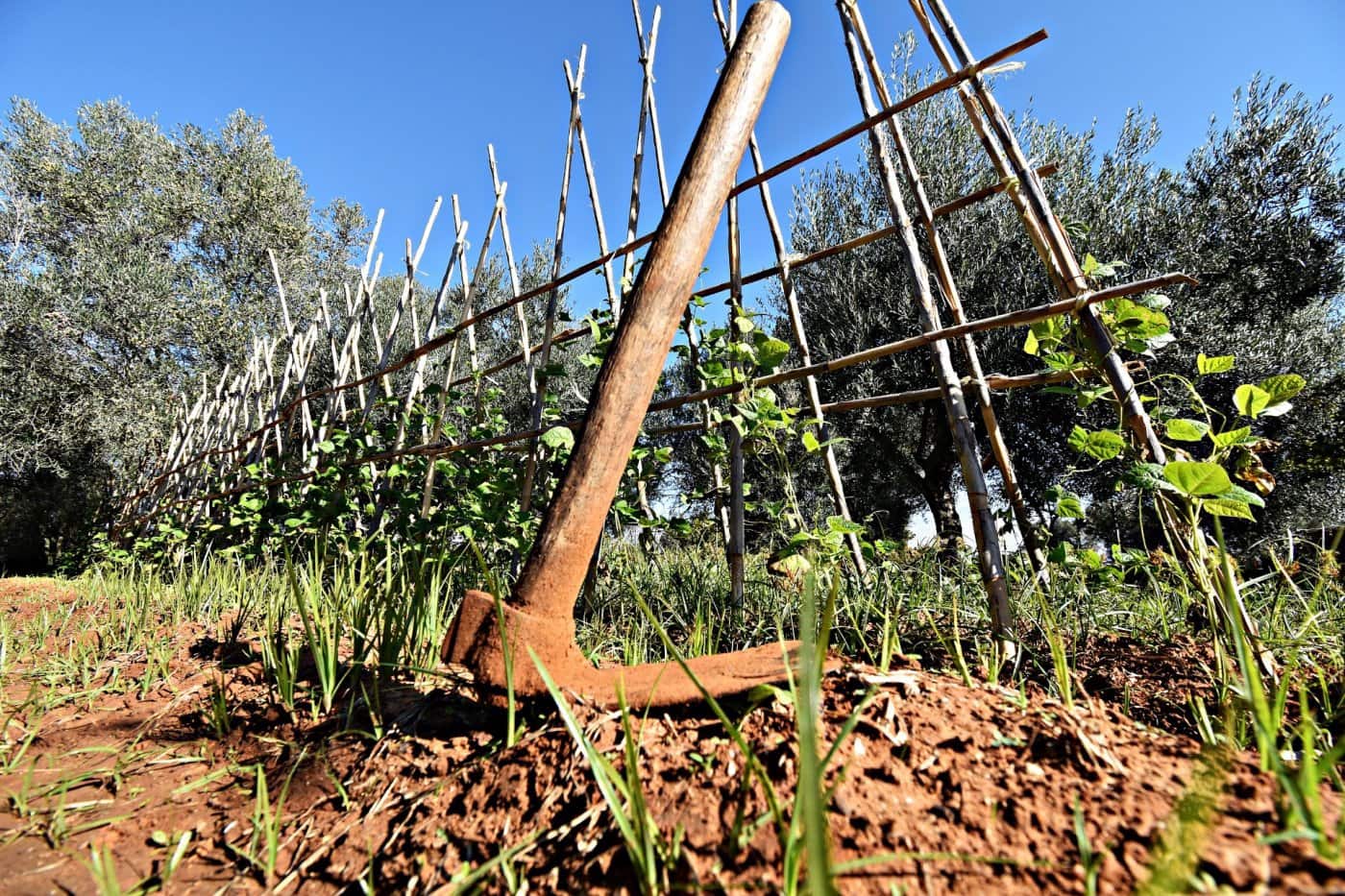 Byggegrund til salg i Jerez de la Frontera - € 159.900 (Ref: 6440539)