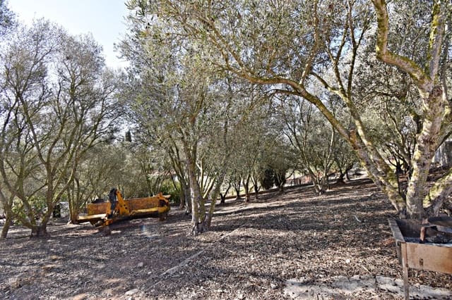 Bouwgrond te koop in Jerez de la Frontera - € 159.900 (Ref: 6440539)