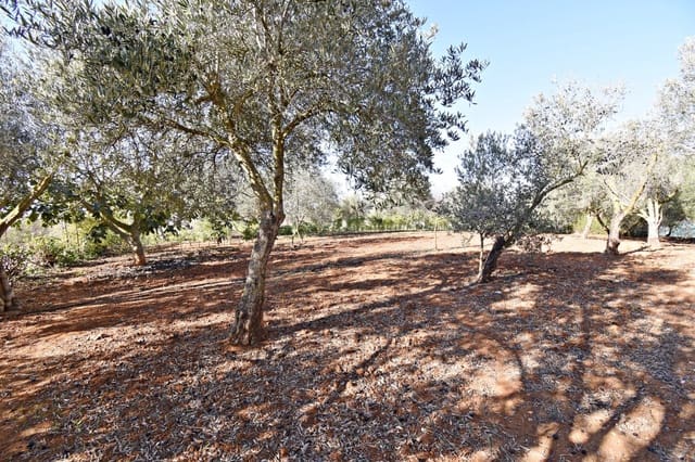 Bouwgrond te koop in Jerez de la Frontera - € 159.900 (Ref: 6440539)