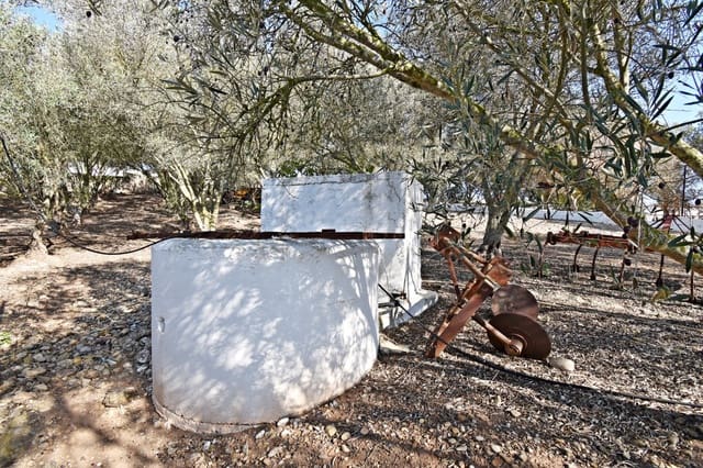 Bouwgrond te koop in Jerez de la Frontera - € 159.900 (Ref: 6440539)