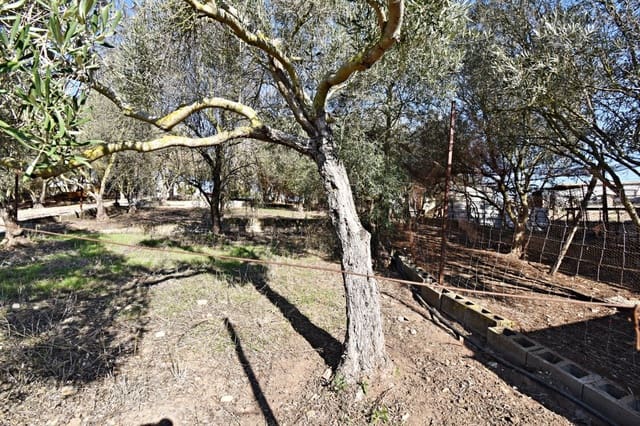 Bouwgrond te koop in Jerez de la Frontera - € 159.900 (Ref: 6440539)