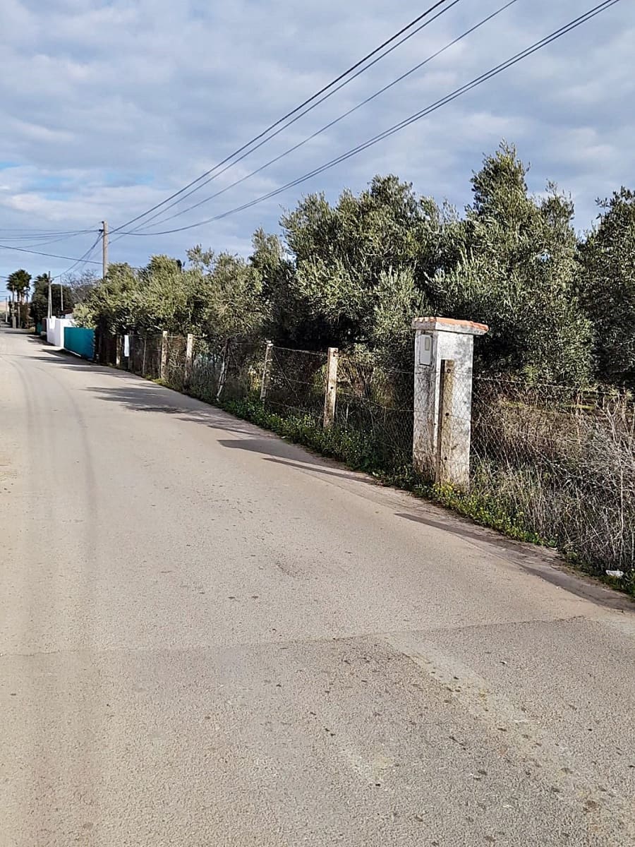 Grunde uden byggetilladelser til salg i Jerez de la Frontera - € 105.000 (Ref: 6624586)