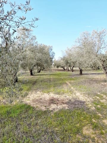 Grond te koop in Jerez de la Frontera - € 105.000 (Ref: 6624586)