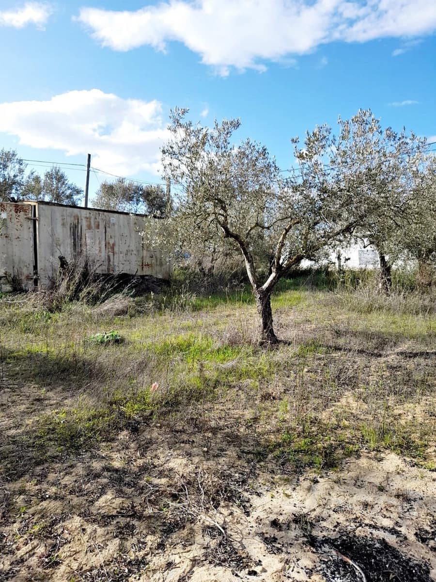 Grunde uden byggetilladelser til salg i Jerez de la Frontera - € 105.000 (Ref: 6624586)