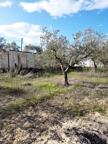 Grond te koop in Jerez de la Frontera - € 105.000 (Ref: 6624586)