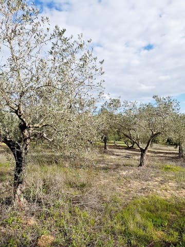 Grond te koop in Jerez de la Frontera - € 105.000 (Ref: 6624586)