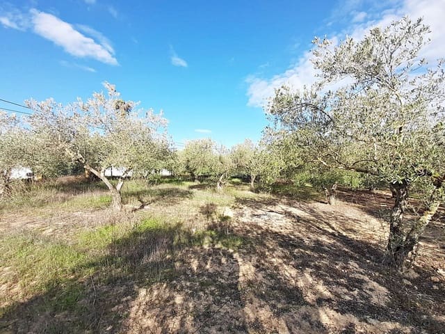 Grond te koop in Jerez de la Frontera - € 105.000 (Ref: 6624586)