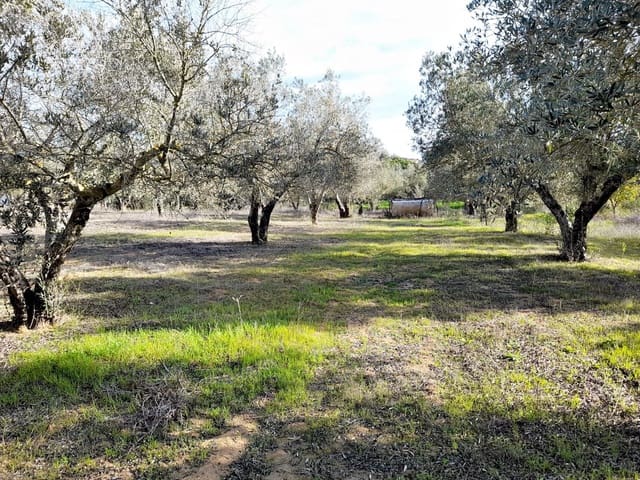 Grond te koop in Jerez de la Frontera - € 105.000 (Ref: 6624586)
