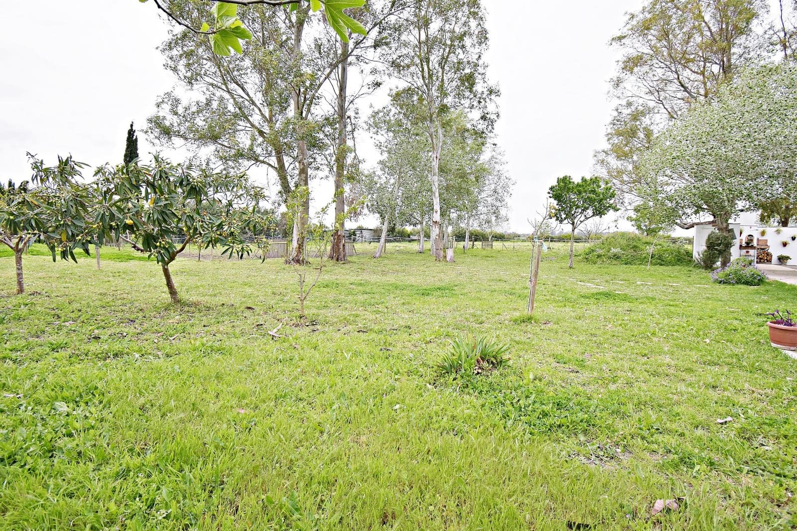 3 soveværelse Finca/Landehus til salg i Jerez de la Frontera med swimmingpool - € 255.000 (Ref: 8177469)