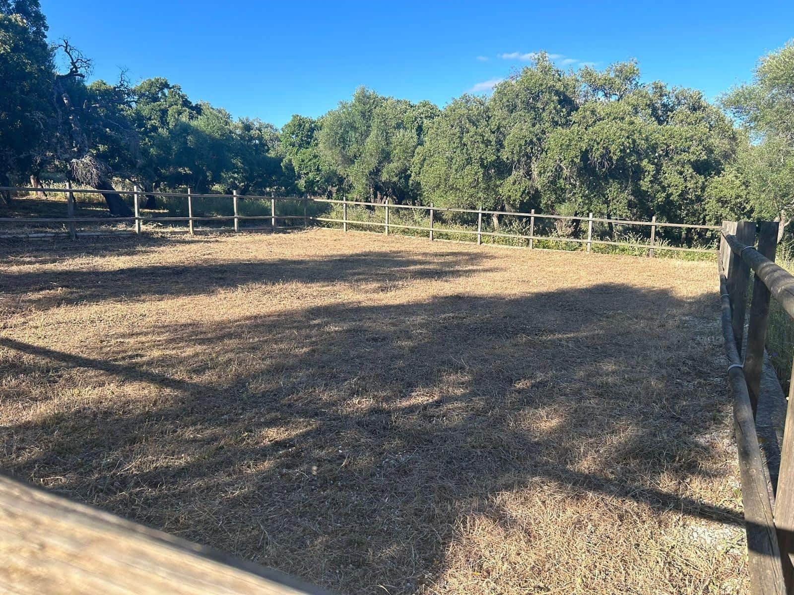 5 soveværelse Finca/Landehus til salg i Alcala de los Gazules - € 590.000 (Ref: 8348124)