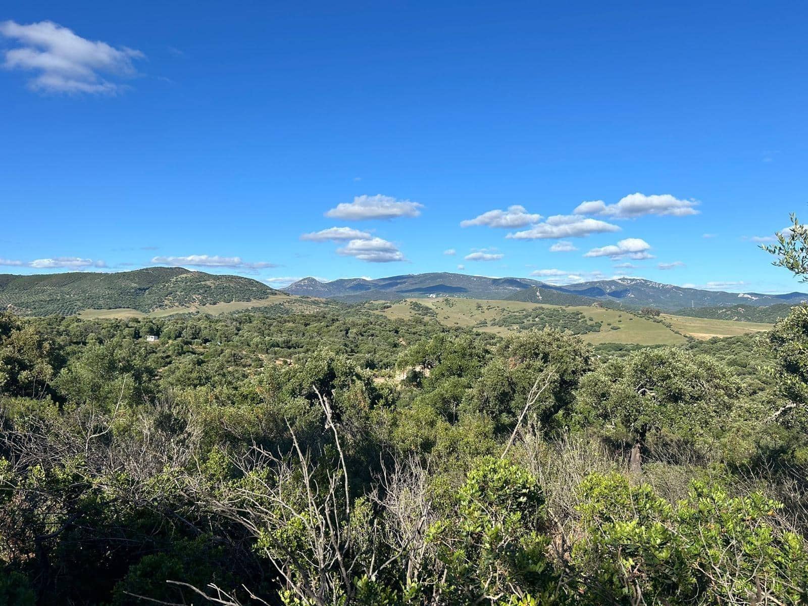 5 soveværelse Finca/Landehus til salg i Alcala de los Gazules - € 590.000 (Ref: 8348124)