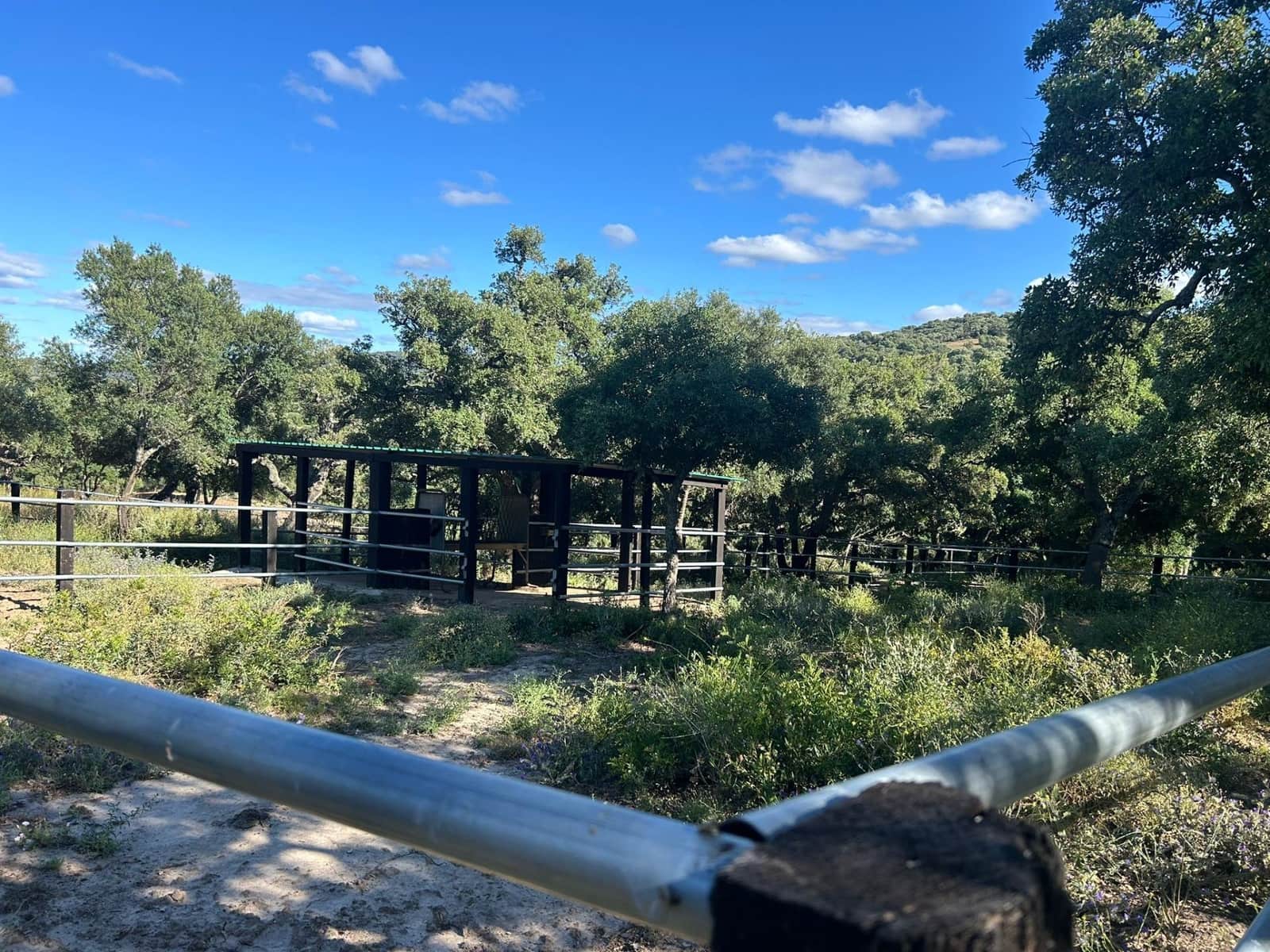 5 soveværelse Finca/Landehus til salg i Alcala de los Gazules - € 590.000 (Ref: 8348124)