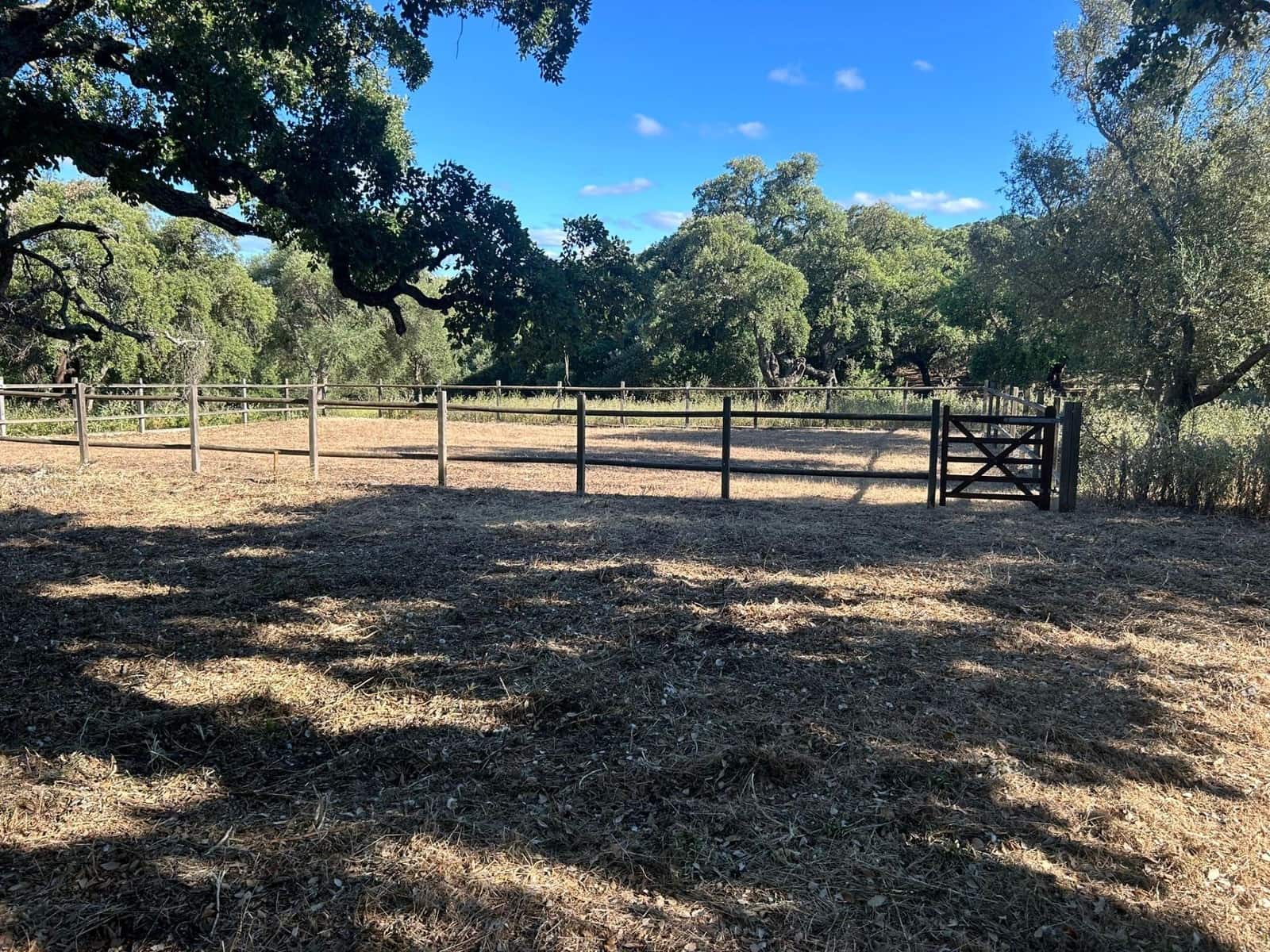 5 soveværelse Finca/Landehus til salg i Alcala de los Gazules - € 590.000 (Ref: 8348124)