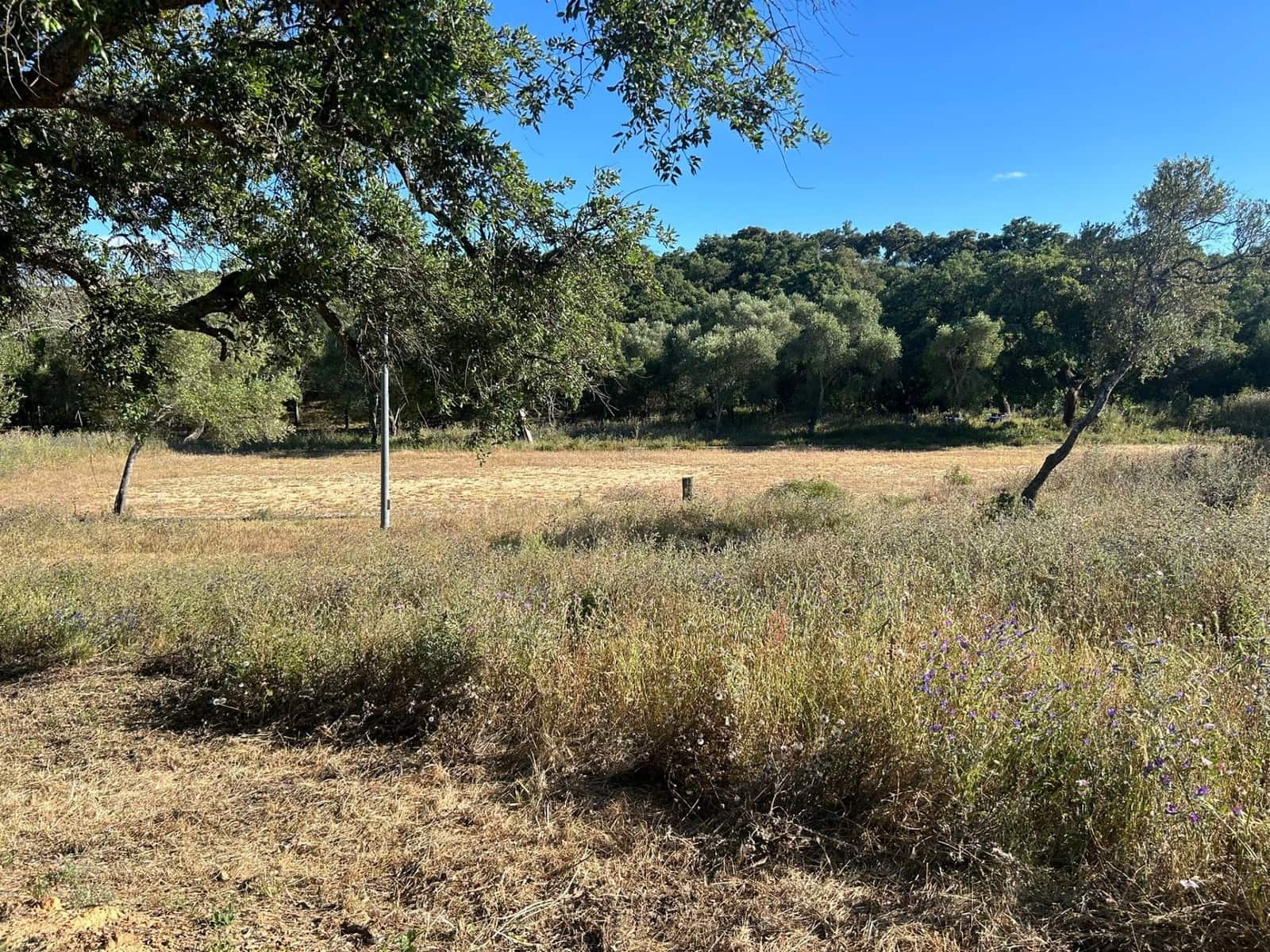 5 soveværelse Finca/Landehus til salg i Alcala de los Gazules - € 590.000 (Ref: 8348124)